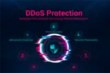 Main image of news article "DDoS Protection"