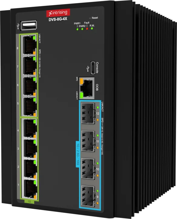 Photo of the product DVS-8G(P)-4X