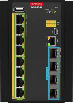 Photo of the product "DVS-8G(P)-4X"