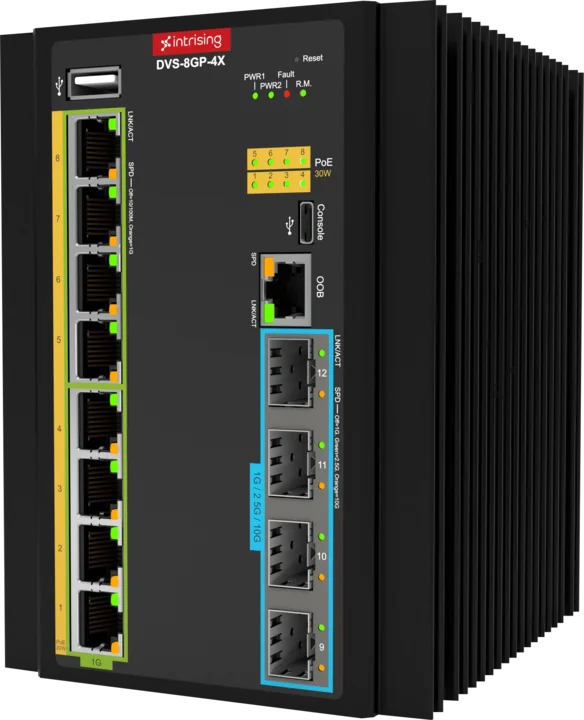 Photo of the product DVS-8G(P)-4X